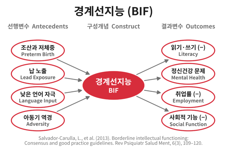 경계선지능(Borderline Intellectual Functioning)의 영향력이 미치는 범위를 그린 개념도. 조산과 저체중, 납 노출, 낮은 언어 자극, 아동기 역경이 경계선지능에 영향을 주고, 경계선지능은 읽기·쓰기 성취 저하와 정신건강 문제, 낮은 취업률, 사회적 기능의 제약으로 이어진다