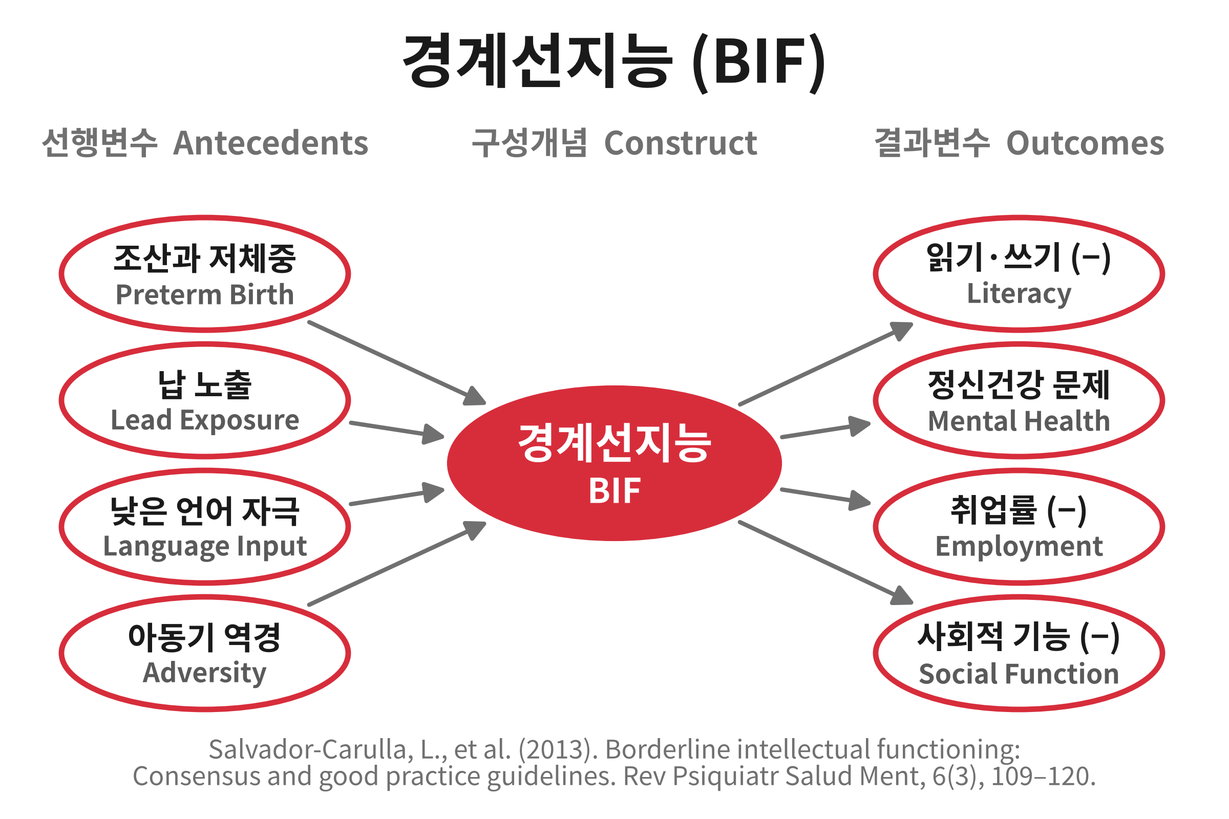 경계선지능(Borderline Intellectual Functioning)의 영향력이 미치는 범위를 그린 개념도. 조산과 저체중, 납 노출, 낮은 언어 자극, 아동기 역경이 경계선지능에 영향을 주고, 경계선지능은 읽기·쓰기 성취 저하와 정신건강 문제, 낮은 취업률, 사회적 기능의 제약으로 이어진다