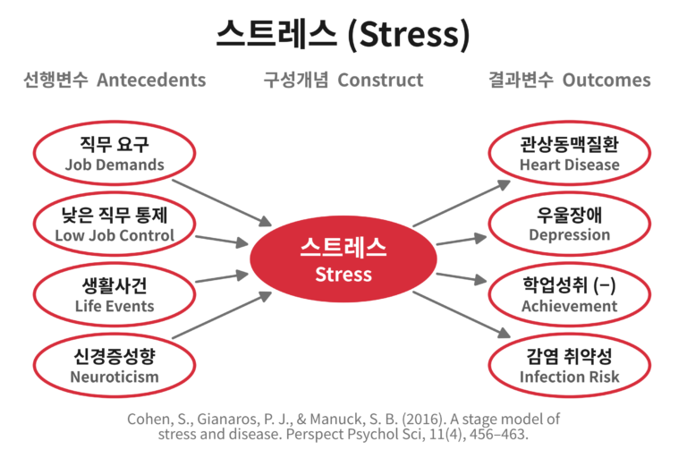스트레스(Stress)를 예측하는 변수와 스트레스가 예측하는 변수를 그린 개념도. 직무 요구와 낮은 직무 통제, 생활사건, 신경증성향이 스트레스에 영향을 주고, 스트레스는 관상동맥질환과 우울장애, 학업성취 저하, 감염 취약성으로 이어진다