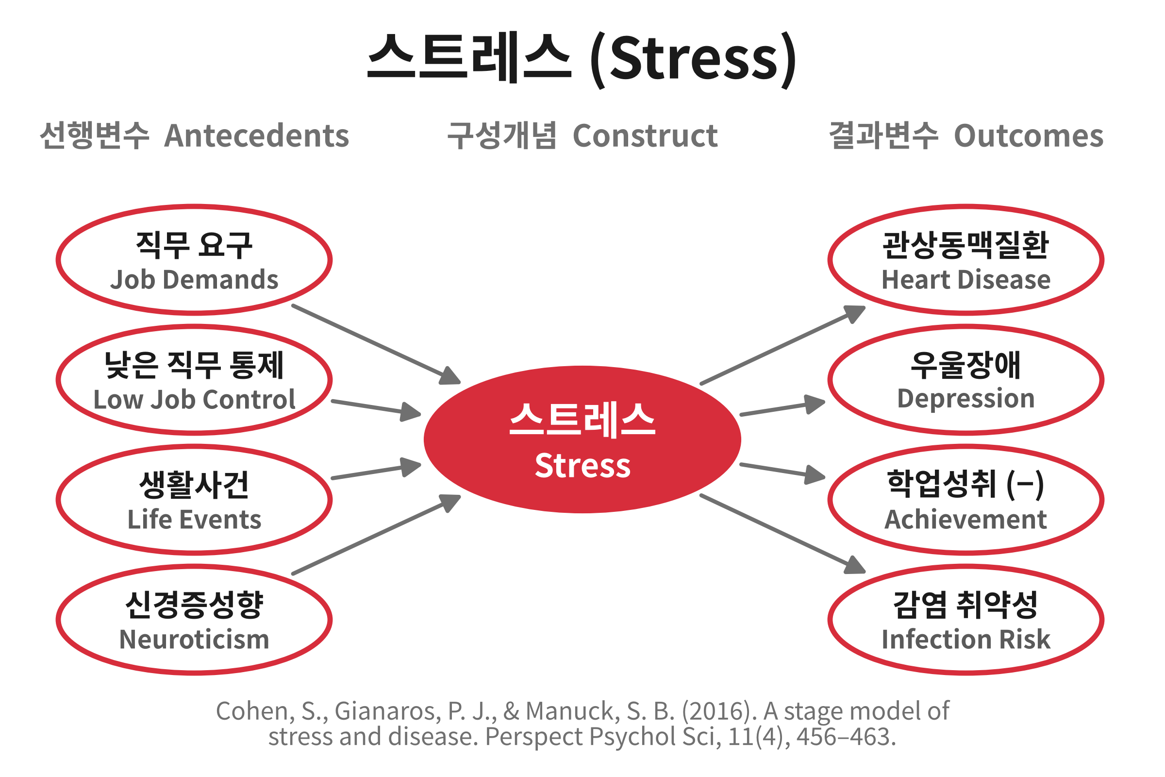 스트레스(Stress)를 예측하는 변수와 스트레스가 예측하는 변수를 그린 개념도. 직무 요구와 낮은 직무 통제, 생활사건, 신경증성향이 스트레스에 영향을 주고, 스트레스는 관상동맥질환과 우울장애, 학업성취 저하, 감염 취약성으로 이어진다