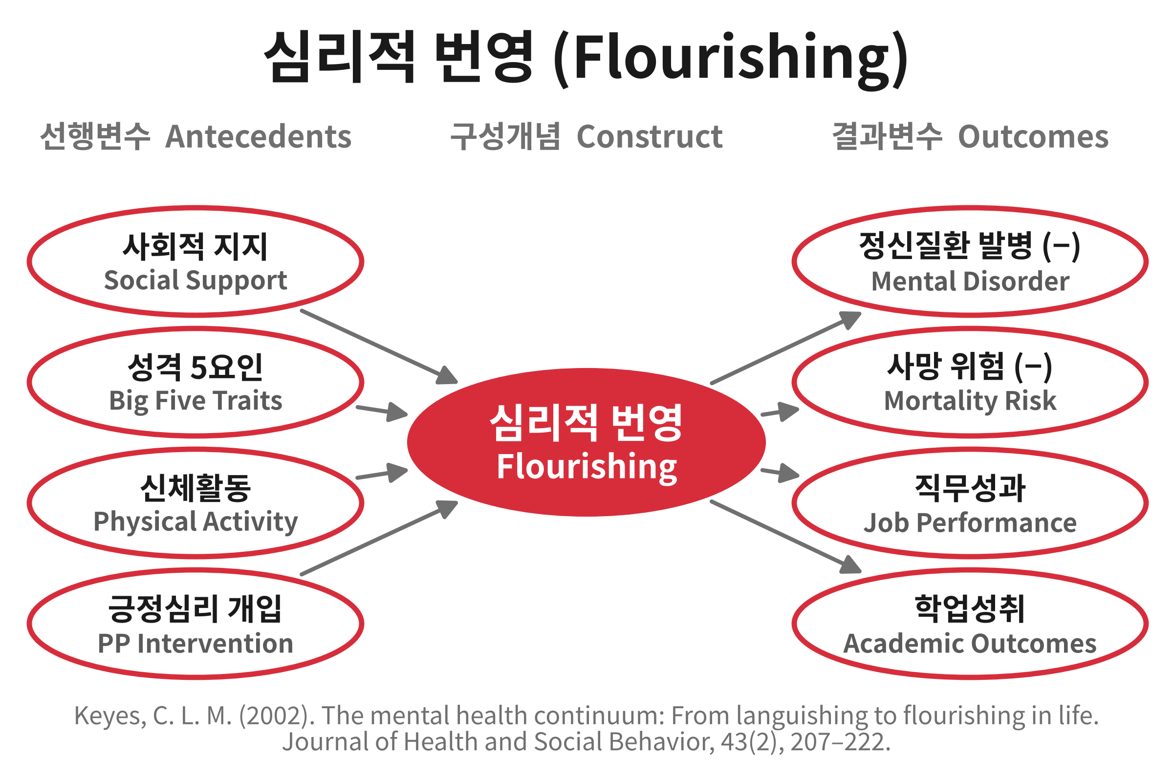 심리적 번영(Flourishing)의 선행변수와 결과변수를 나타내는 개념도. 사회적 지지, 성격 5요인, 신체활동, 긍정심리 개입이 심리적 번영에 영향을 주고, 심리적 번영은 정신질환 발병, 사망 위험, 직무성과, 학업성취로 이어진다