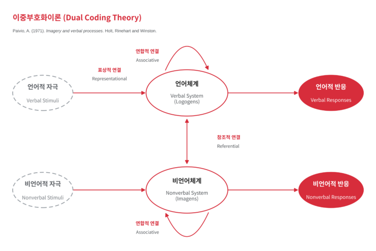 이중부호화이론(DCT)의 경로도. 언어적 자극과 비언어적 자극이 각각 언어체계와 비언어체계에 표상되고, 두 체계가 참조적 연결로 상호작용하여 언어적 반응과 비언어적 반응으로 이어진다