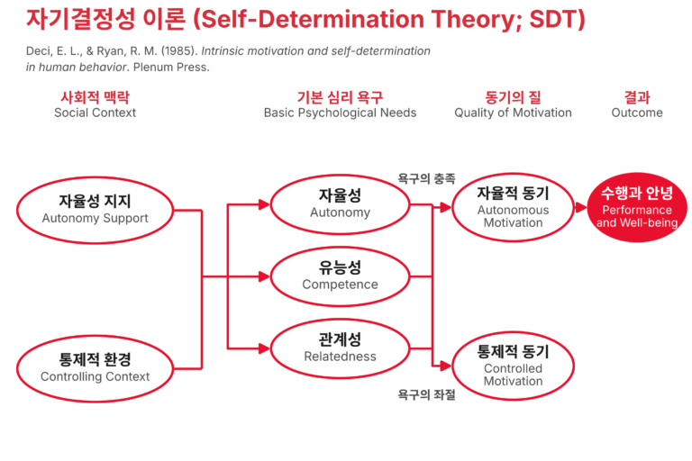 자기결정성 이론의 모형 그림. 자율성 지지와 통제적 환경이 자율성, 유능성, 관계성의 세 가지 기본 심리 욕구에 영향을 미치고, 욕구의 충족은 자율적 동기로, 욕구의 좌절은 통제적 동기로 이어지며, 자율적 동기는 수행과 안녕으로 이어진다