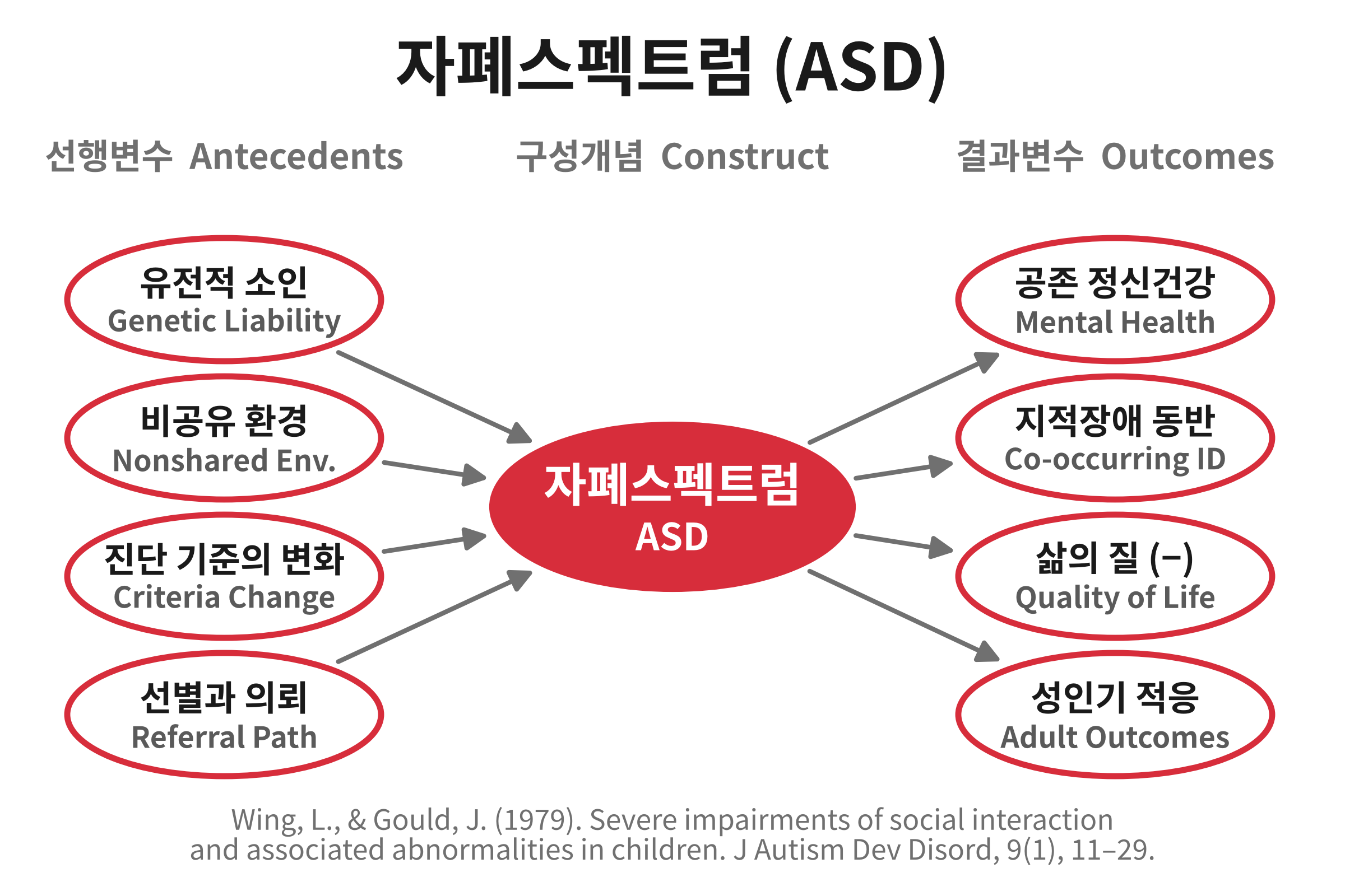 자폐스펙트럼(Autism Spectrum Disorder)을 변수로 둔 연구의 구조를 그린 개념도. 왼쪽에는 유전적 소인과 비공유 환경, 진단 기준의 변화, 선별과 의뢰 경로가 식별에 작용하는 요인으로 놓이고, 오른쪽에는 공존 정신건강 조건과 지적장애 동반, 삶의 질, 성인기 적응이 함께 측정되는 결과변수로 놓인다